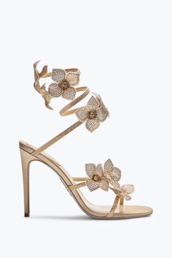 Jeweled Floriane Honey Sandal 105 | Rene Caovilla®