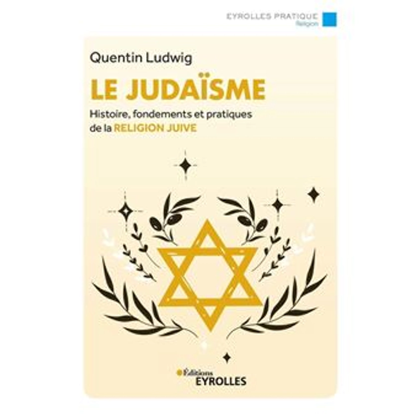 Le judaïsme Histoire, fondements et pratiques de la religion juive - broché - Quentin Ludwig - Achat Livre ou ebook | fnac