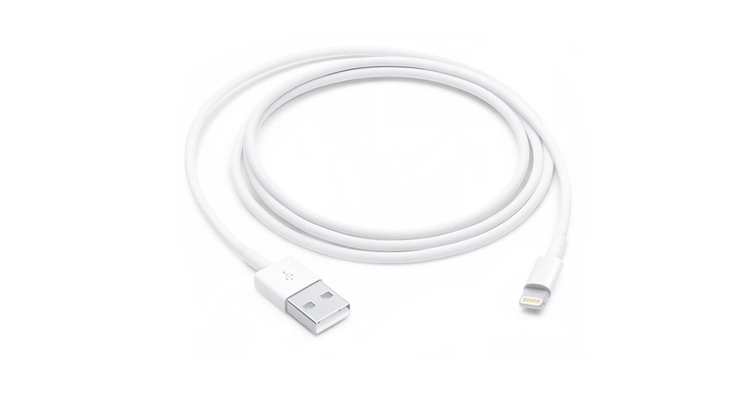 Câble Lightning vers USB (1 m)