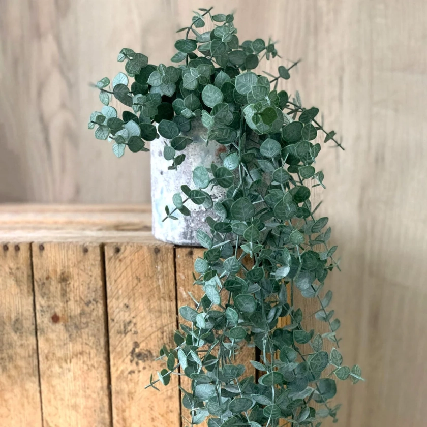 Eucalyptus gunni artificiel - 95 cm - vert naturel avec ou sans pot