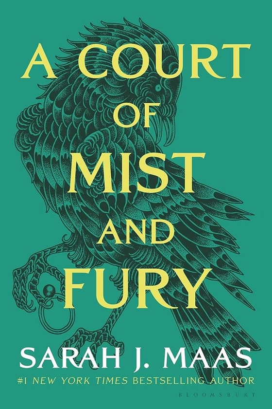 Amazon.com: A Court of Mist and Fury: 9781635575583: Maas, Sarah J.: Books