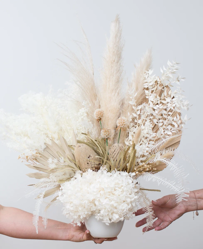 Discover the Beauty of Dried Australian Native Flowers