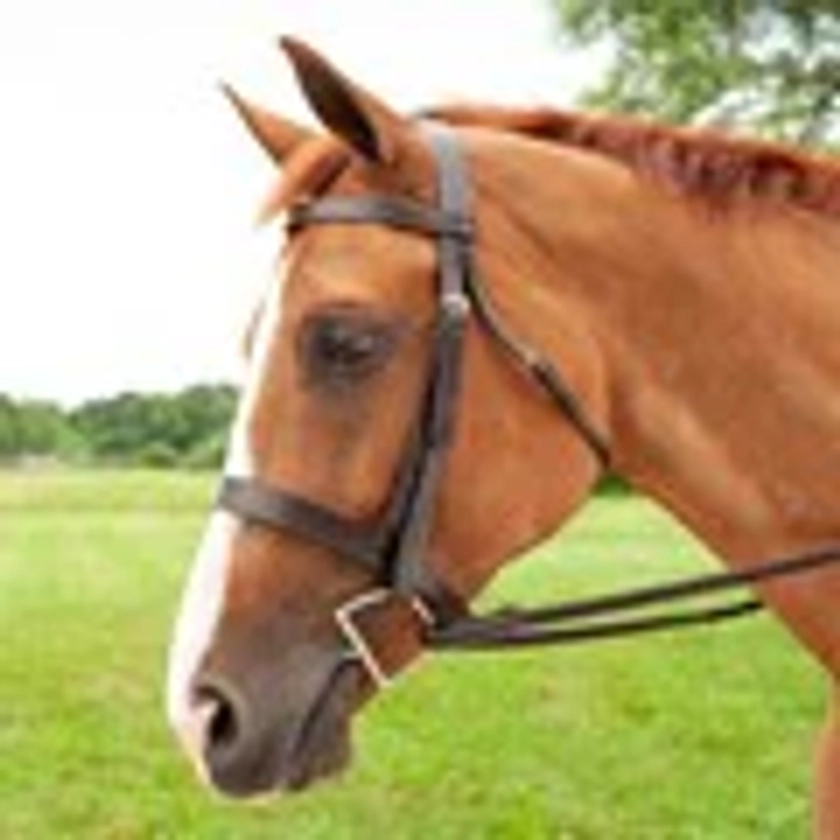 Plymouth® Hunt Bridle by SmartPak