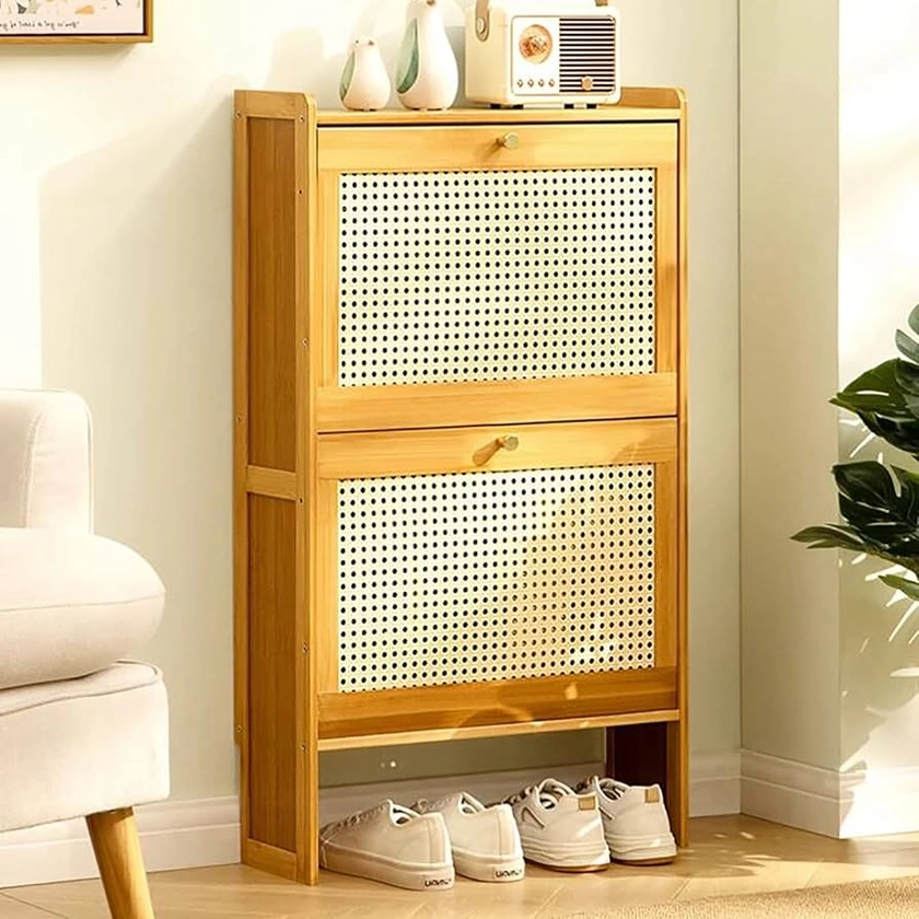 Narrow Shoe Cabinet, Shoe Cabinet for Entryway, Shoe Cabinet with Doors, Slim Shoe Cabinet (Color : A, Size : 50cm/19.69in)