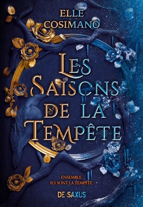 Les Saisons de la Tempête (broché)