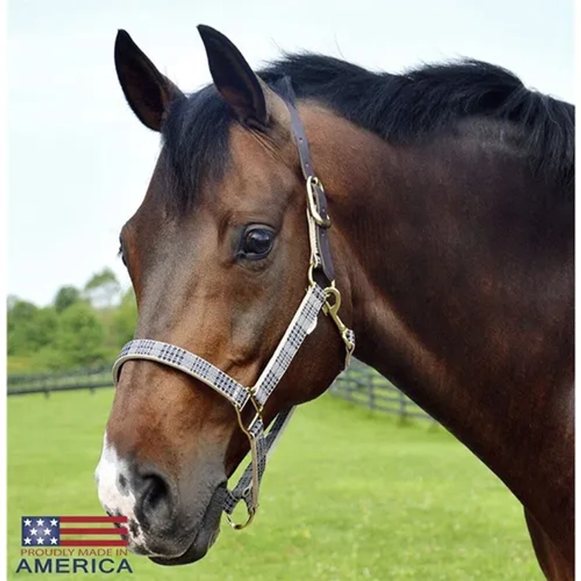 5/A Baker® Breakaway Halter with Full Leather Crown | Dover Saddlery