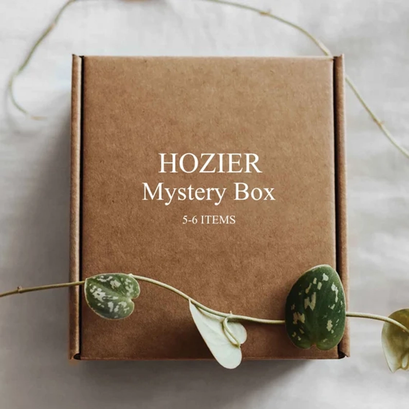 HOZIER Mystery Box | Wasteland, Baby! | Sedated | Take Me To Church | Dorm Room Decor | Posters | Stationary | Sunlight