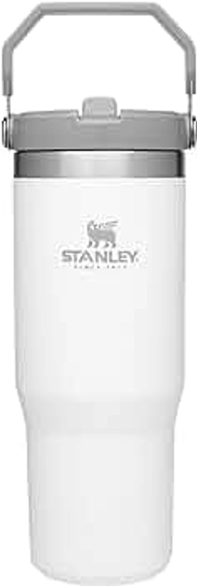 Stanley IceFlow Stainless Steel Tumbler with Straw - Vacuum Insulated Water Bottle for Home, Office or Car - Reusable Cup with Straw Leak Resistant Flip - Cold for 12 Hours or Iced for 2 Days (Polar)