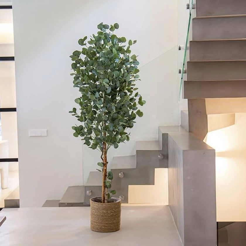 Maia Shop | Eucalyptus Artificiel | Plantes Artificielles Interieur | Plante Artificielle | Mesures: 180 x 80 cm | Plante Artificielle Grande | Arbre Artificiel | Décoration