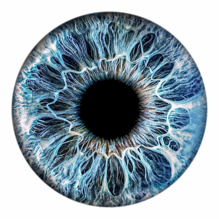 Iris Photo | Turn your eye into stunning artwork