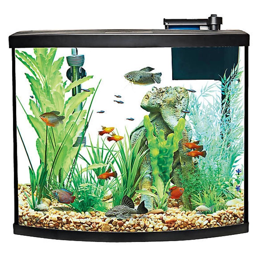 Top Fin® Bow Front Aquarium Starter Kit - 36 Gallon | fish Starter Kits | PetSmart