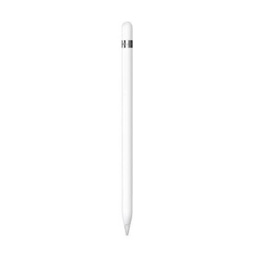 Apple Pencil with USB-C Adapter (2022, 1st Generation)