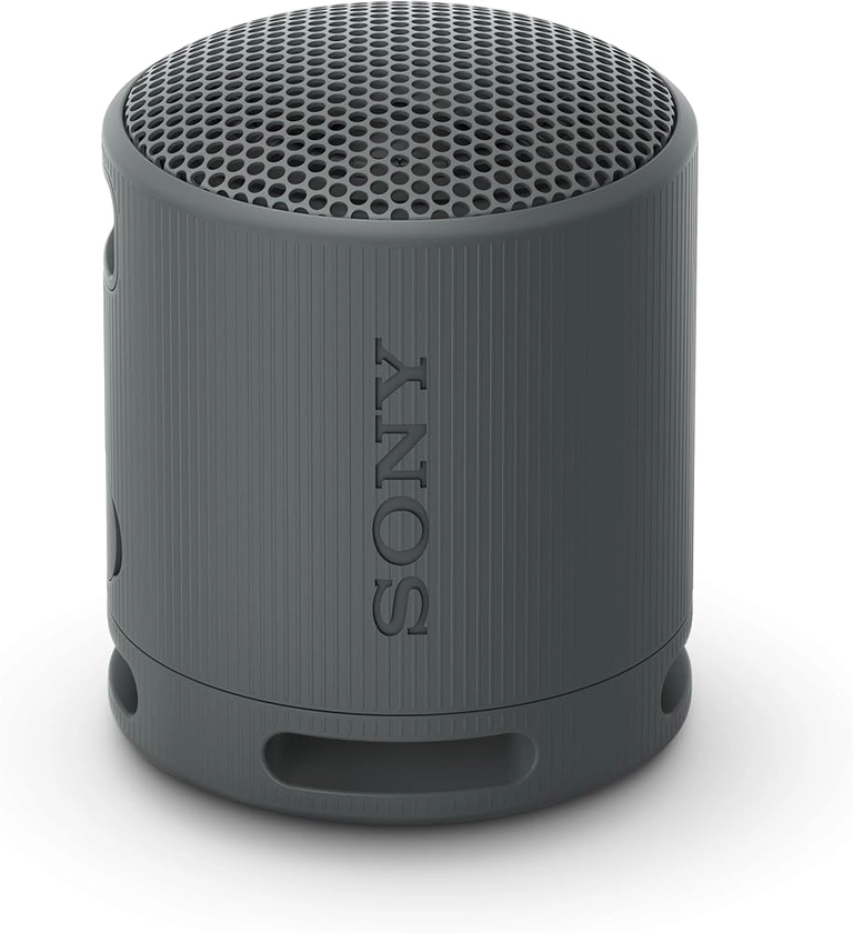 Sony SRS-XB100 - Enceinte sans Fil Bluetooth, Portable, légère, compacte, Durable, IP67, étanche à l'eau et à la poussière, Batterie 16H, dragonne Polyvalente, appels Mains Libres, Noir