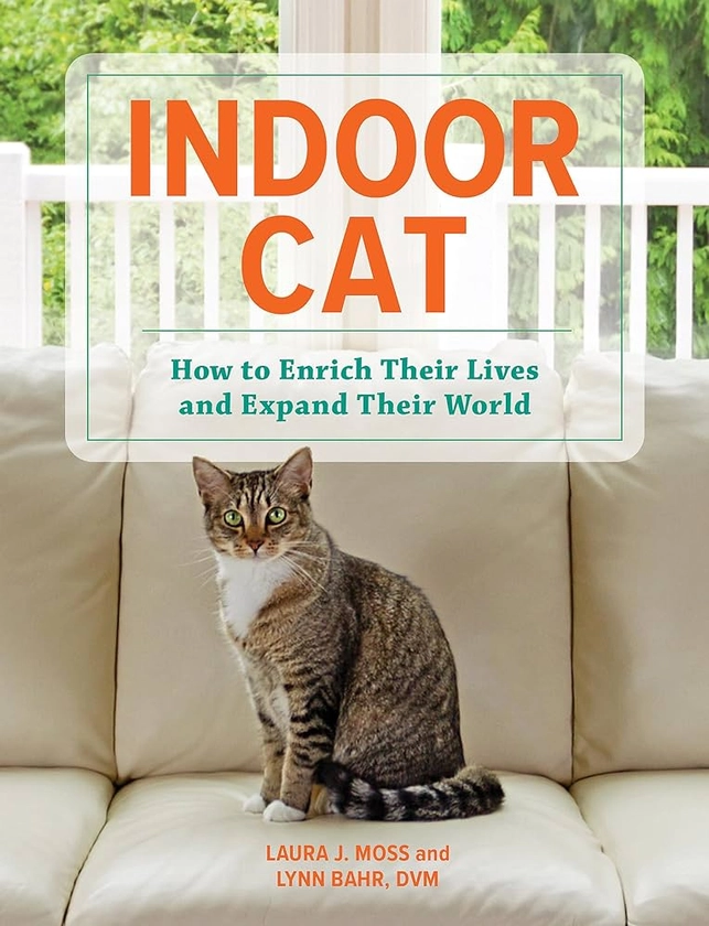 Indoor Cat: How to Enrich their Lives and Expand their World: Amazon.co.uk: Moss, Laura J, Bahr, Lynn: 9780762474653: Books