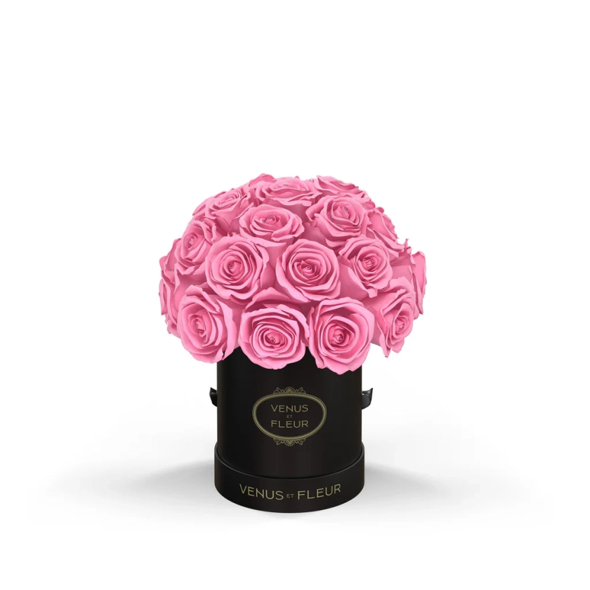 Mini Le Plein - Black Classic with Eternity Roses