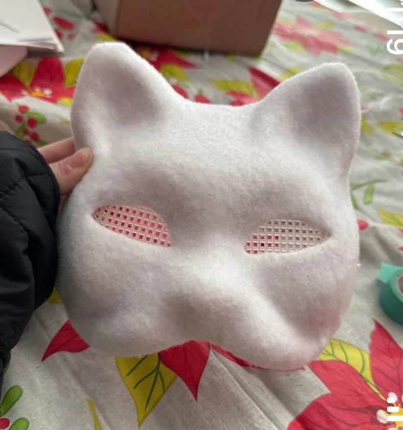 Blank felted mask with eye mesh