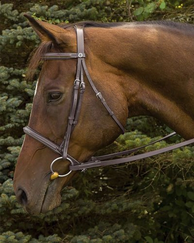 Henri de Rivel Fancy Raised Padded Bridle with Laced Reins | Dover Saddlery