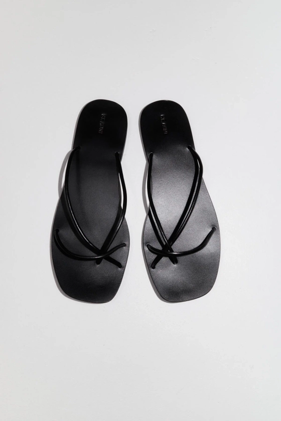 Rouleau Flat - Black