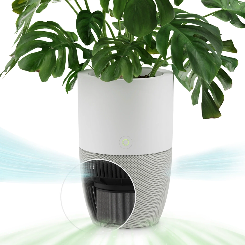 Bloom™ Air Purifier. HEPA-13 Air Filtration With Integrated Planter. | Dupray