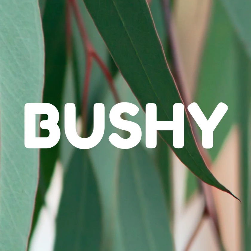 BUSHY | Underwear Made in Australia.