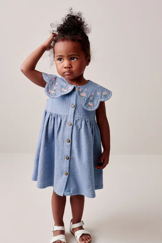 Buy Blue Collared Day Dress (3mths-7yrs) from the Next UK online shop
