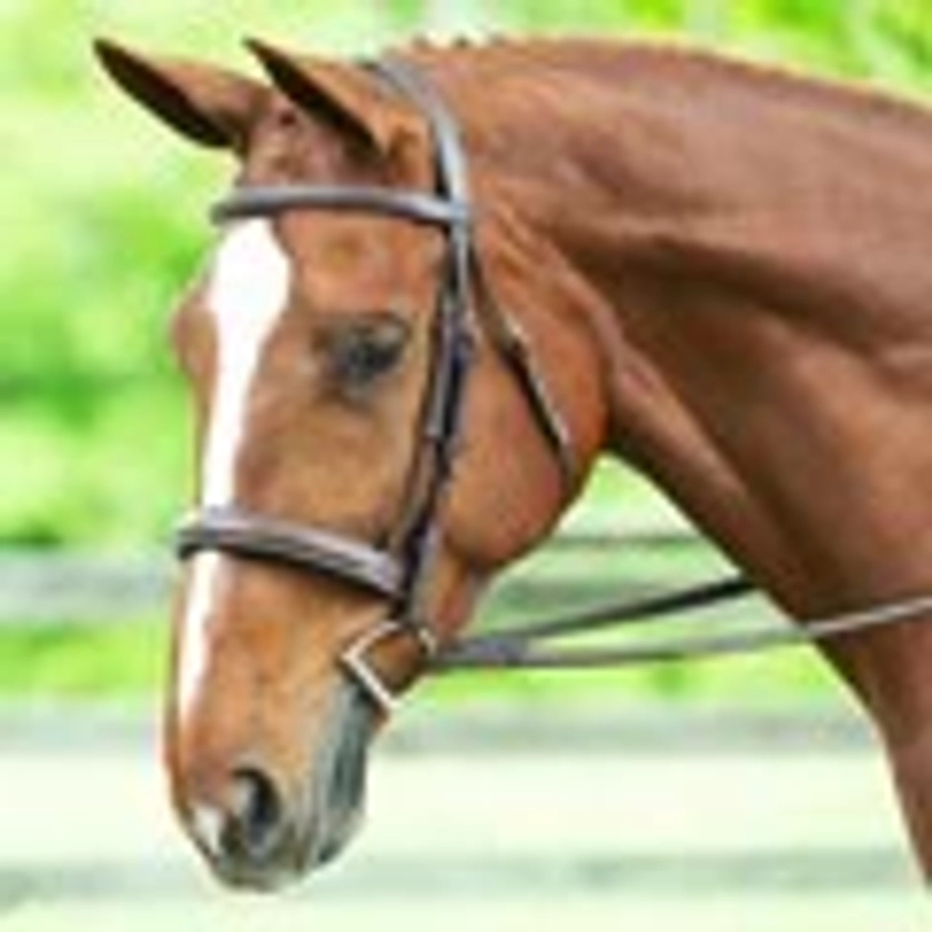 Harwich® Wide Noseband Bridle by SmartPak