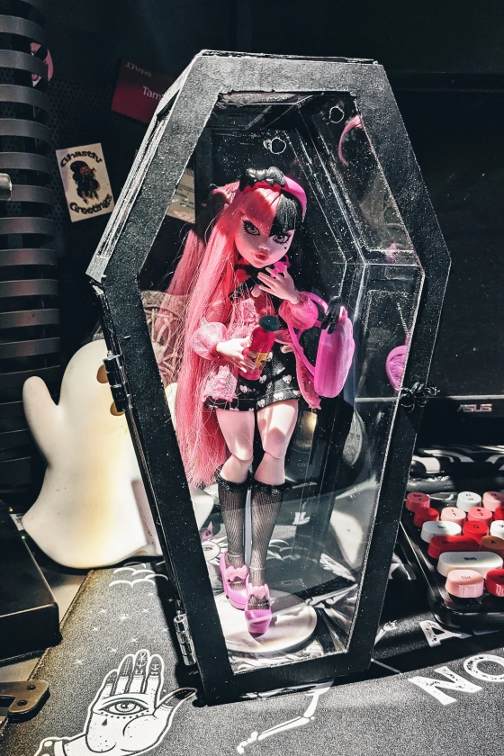 Coffin Display Case • Goth • Doll • Alternative • Halloween • Monster High