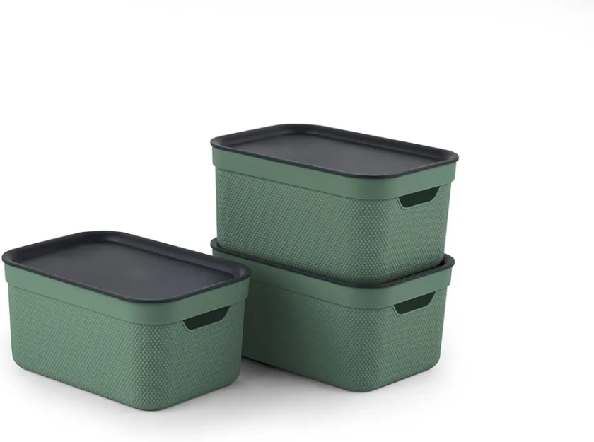 Rotho Jive Dekobox Set of 3 storage box 5l with lid, Plastic (PP recycled), green/anthracite, 3x5l (26.5 x 18.5 x 13.2 cm)