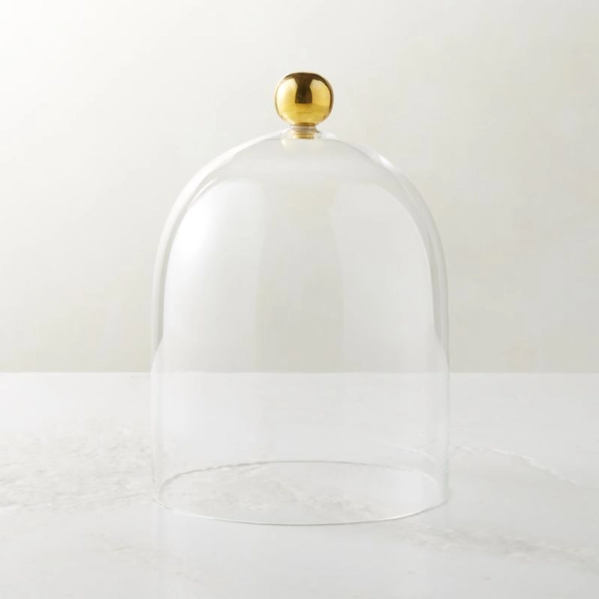 Glass Cloche with Unlacquered Brass Knob + Reviews | CB2