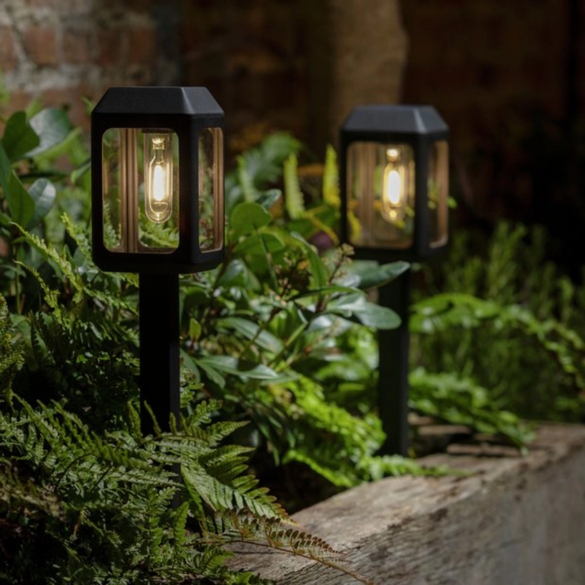 Buy Habitat Warm White Solar Stake Light - Set of 2 | Solar garden lights | Habitat