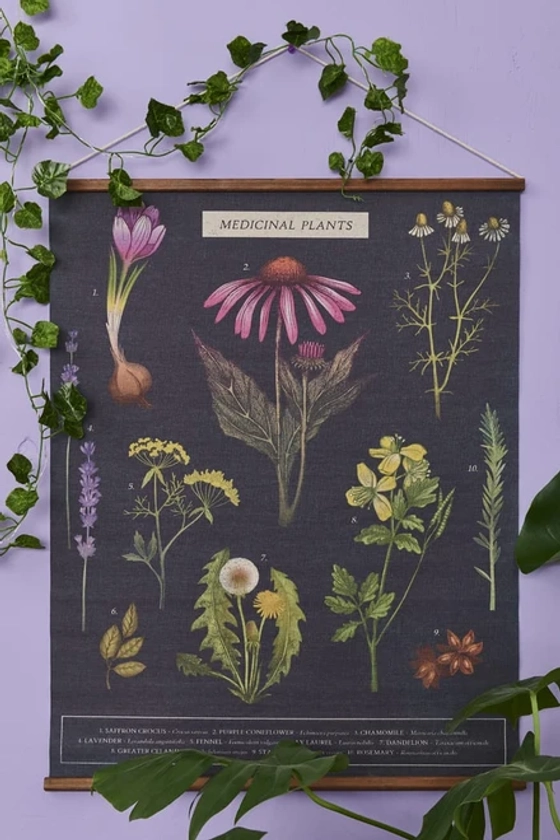 EBX Medicinal Plants Wall Banner