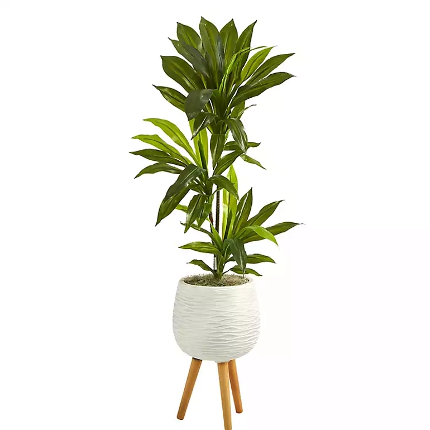 Real Touch Dracaena in Mossy Tripod Planter | Kirklands Home