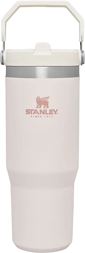 STANLEY IceFlow Stainless Steel Tumbler with Straw, Vacuum Insulated Water Bottle for Home, Office or Car, Reusable Cup with Straw Leak Resistant Flip