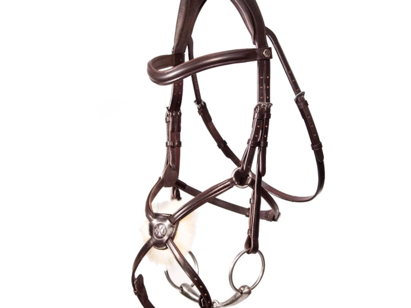 Henry James Mexican Grackle Bridle