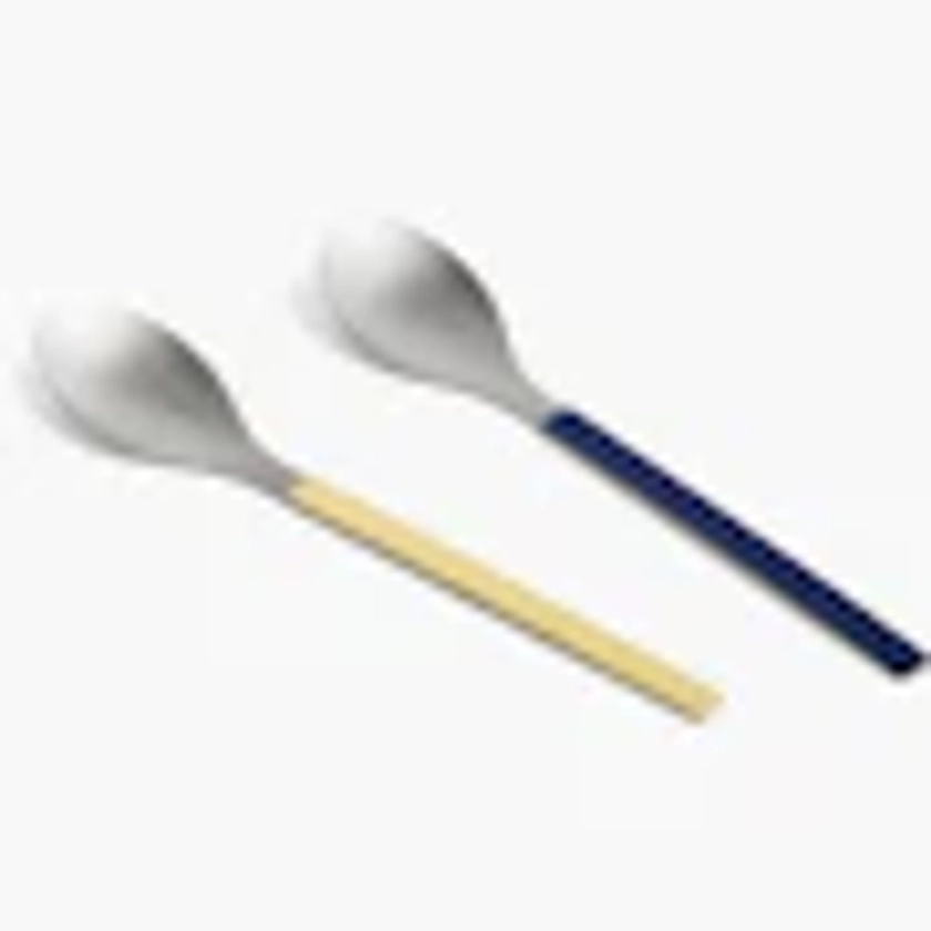 MVS Serving Spoon Set of 2 – Design Within Reach