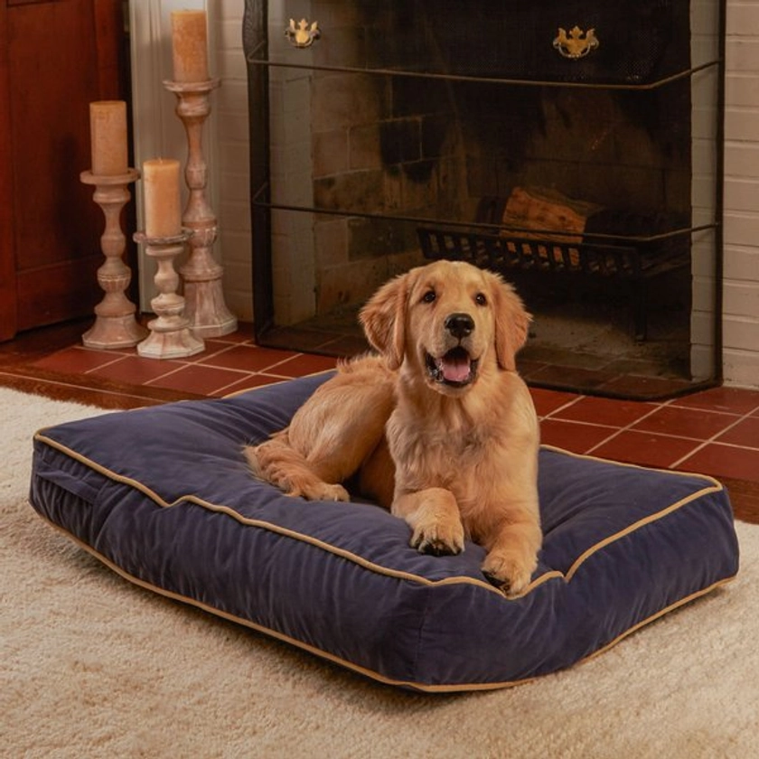 Happy Hounds Bailey Rectangle Pillow Dog Bed with Removable Cover