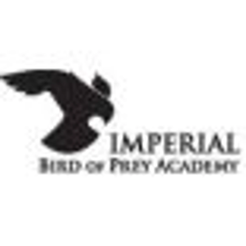 Imperial Bird of Prey Academy - Owls by candlelight