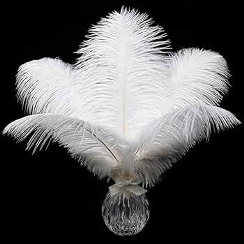 Soarer White Ostrich Feathers Bulk - 15 pcs 12-14inch Natural Feathers for Wedding Party Centerpieces,Masquerade,Vase and Home Decoration.(White)