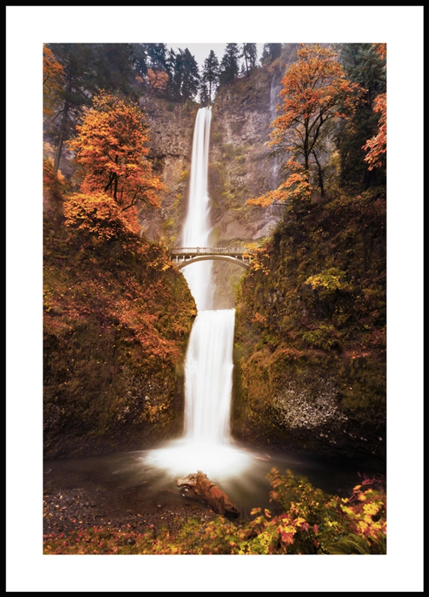 Cascade d'Automne Poster