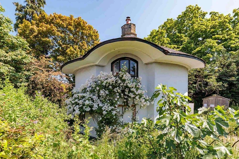 The Mushroom House