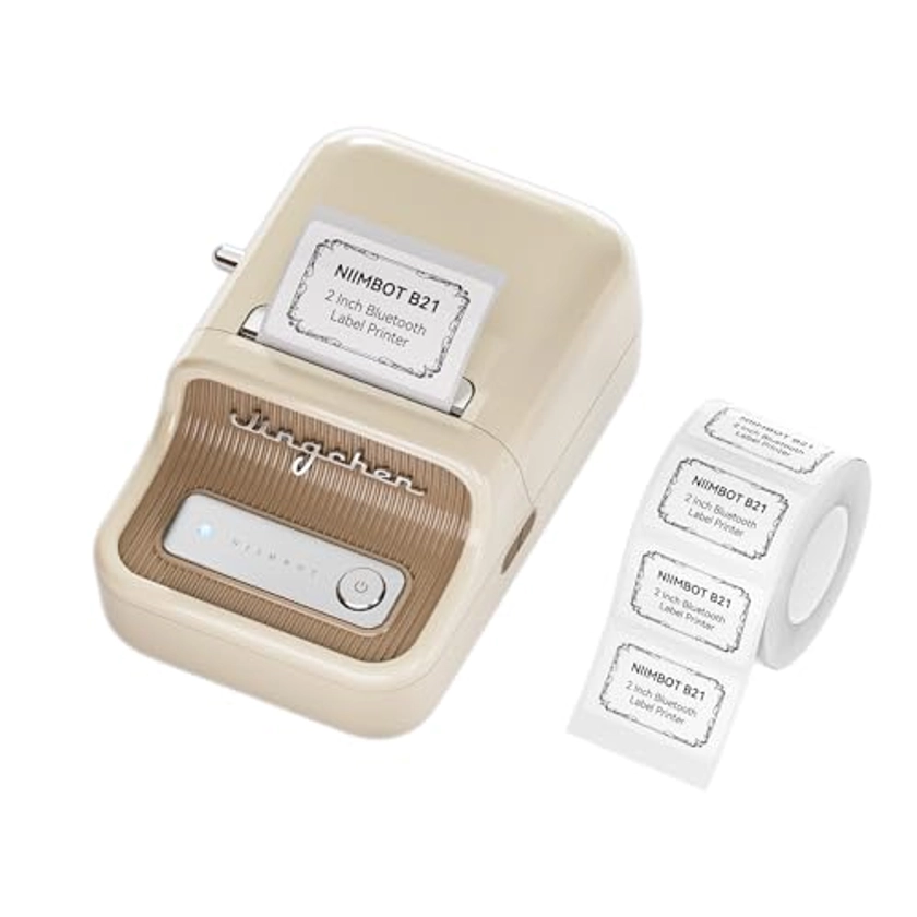 NIIMBOT B21 Mini Etiqueteuse Thermique Inkless Compatible avec iOS et Android, pour la Maison, l'entreprise, l'organisation de Codes Barres et QR, avec 1 Lot de 50 x 30 mm, (Blanc)