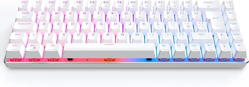 CIY X79 65% Wireless Mechanical Keyboard/RGB Gaming Keyboard/Hot Swappable/Anti Ghosting/N-Key Rollover/UK Layout 69 Key/Wired Keyboard for Mac Windows