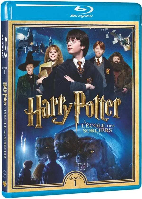 Harry Potter à l'école des sorciers - Année 1 - Le monde des Sorciers de J.K. Rowling - Blu-ray