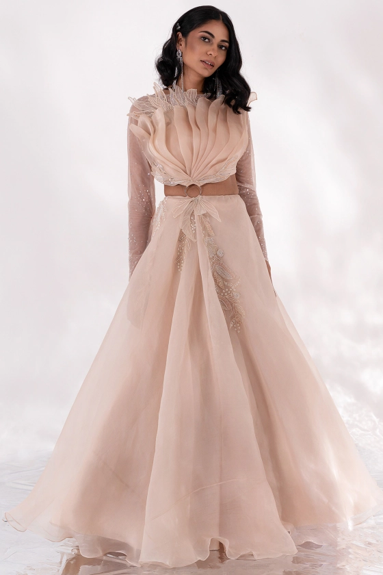 Sand Beige Organza & Georgette Oyster Gown Design by Piri India at Pernia's Pop Up Shop 2024