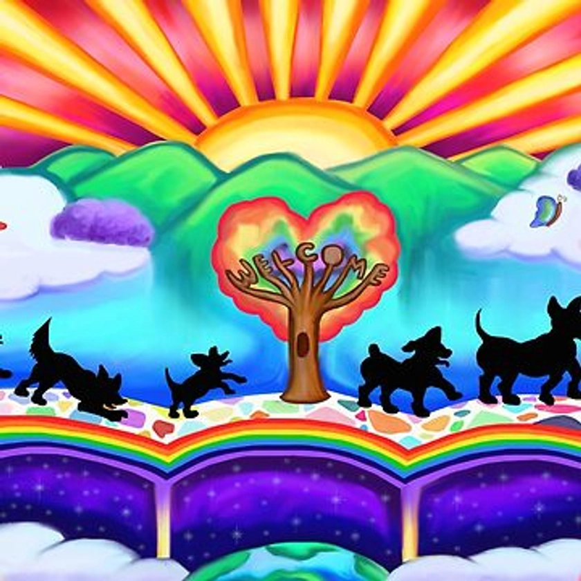 "Dogs Arrival at the Rainbow Bridge " Magnet for Sale by Deborah Camp