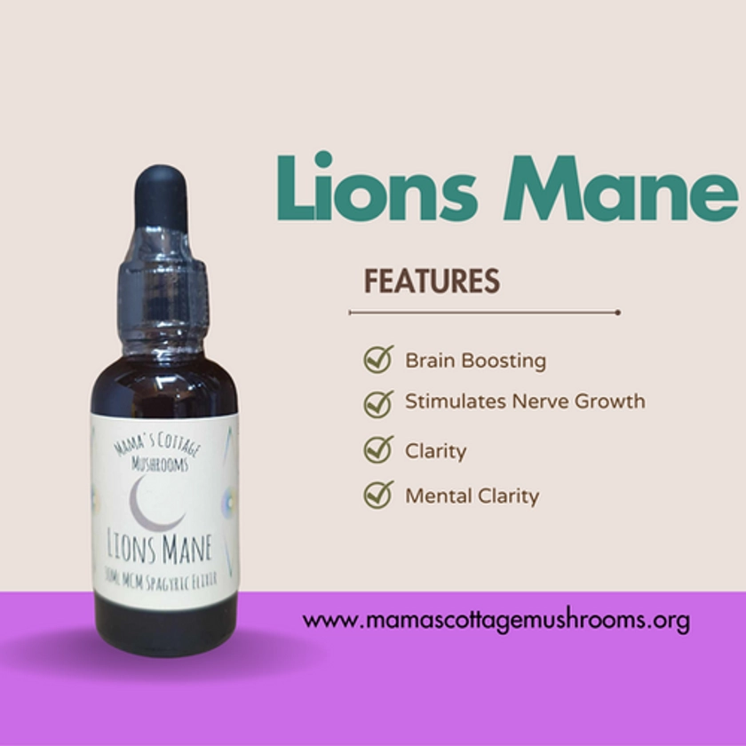 Lions Mane Spagyric Elixir | Mamas Cottage