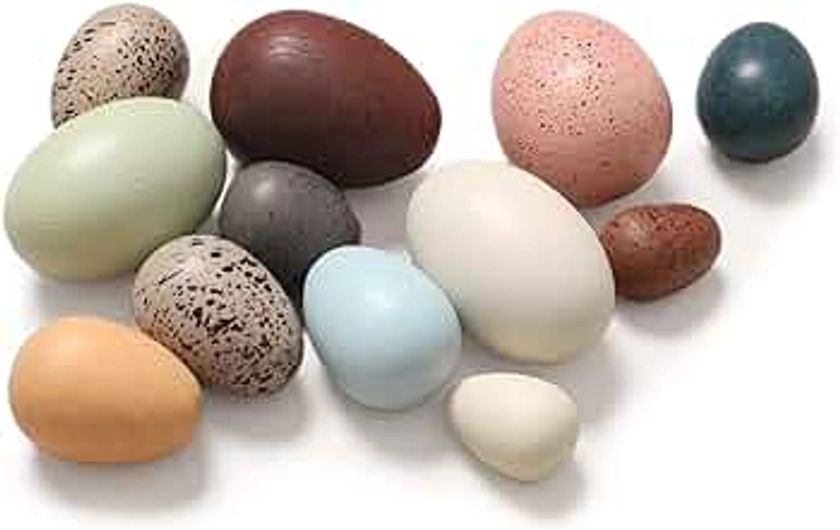 Youuys Wooden Easter Eggs Toys for Kids, Faux Easter Speckled Eggs DIY Art for Craft for Home Garden Decors, Cognitive Montessori Toy for Species Identification Early Educational Preschool Classroom