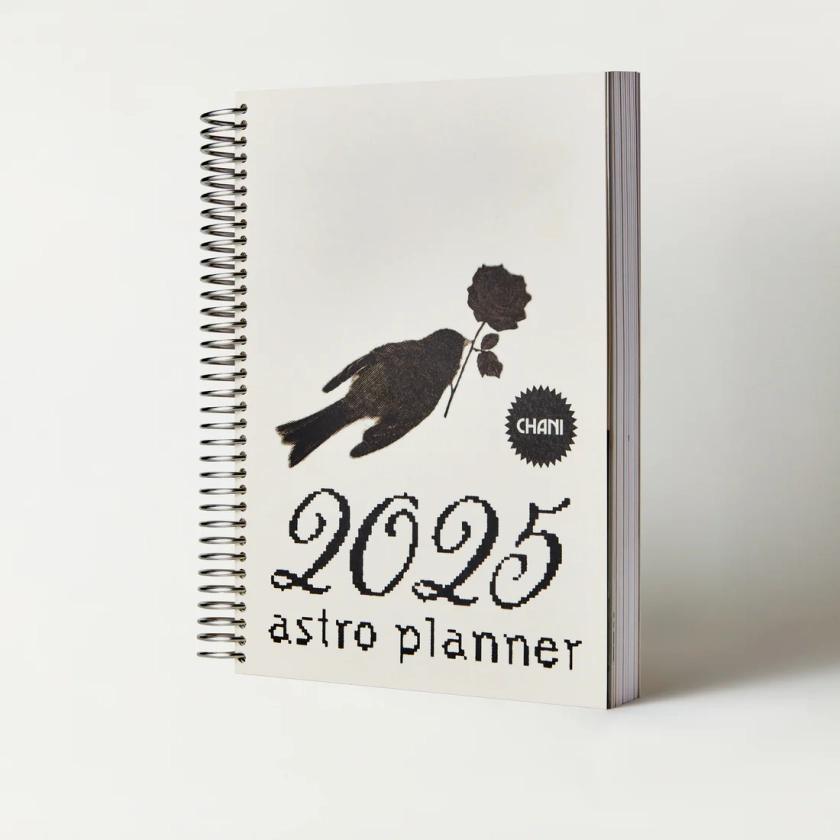 CHANI 2025 Astro Planner: An astrology & mindfulness planner with stickers & a DIY birth chart