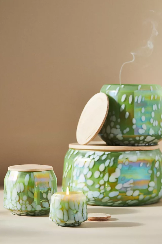 By Anthropologie Fresh Fern Moss Glass Jar Candle