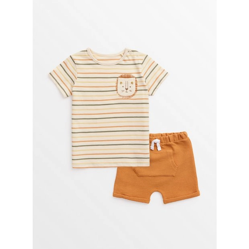 Buy Stripe Lion T-Shirt & Terracotta Shorts 3-6 months | Outfits and sets | Tu